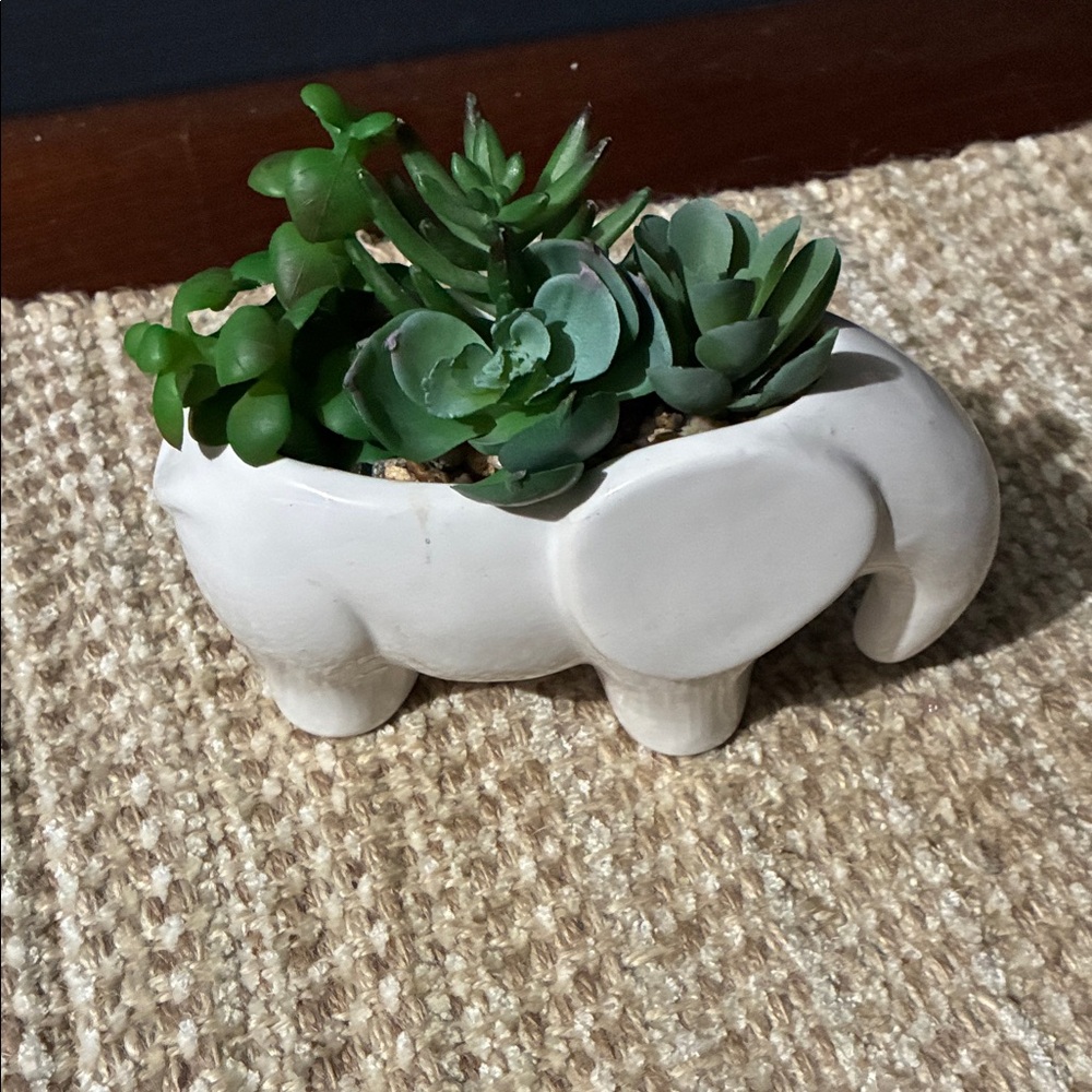 White Elephant Planter with Succulents